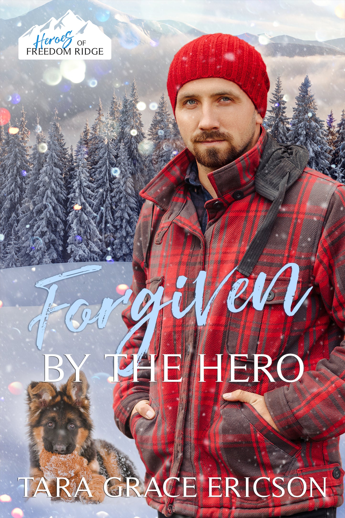 Heroes of Freedom Ridge Series Bundle